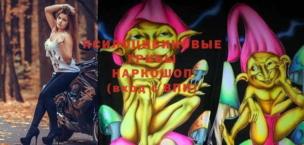 a pvp Абаза