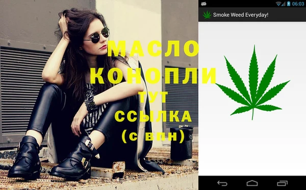 дживик Абинск