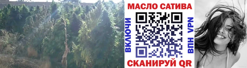 kraken ссылки маркетплейс официальный сайт Камышлов Дистиллят ТГК вейп где найти