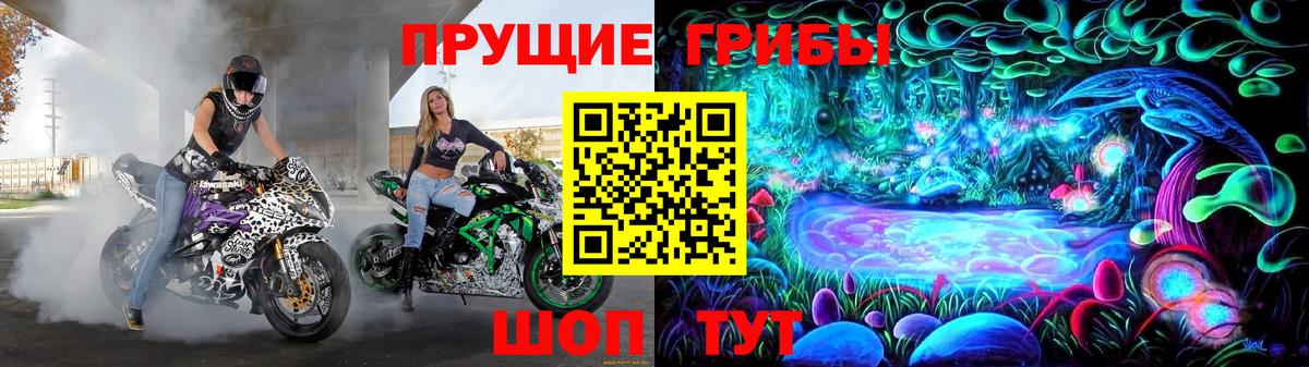 Камышлов  Псилоцибиновые грибы Psilocybine cubensis  наркошоп  Псилоцибиновые грибы мицелий  Вход с VPN 