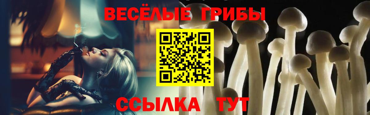 Псилоцибиновые грибы мухоморы Камышлов